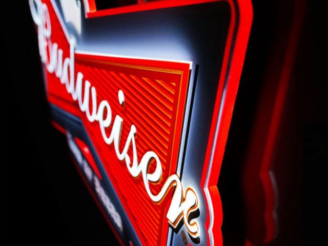 Slimline Logo Signs - Brandlite